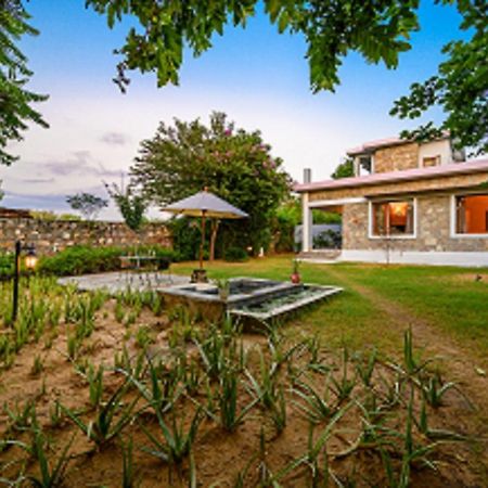 A Dog'S Story, Jaipur Bed & Breakfast Ngoại thất bức ảnh
