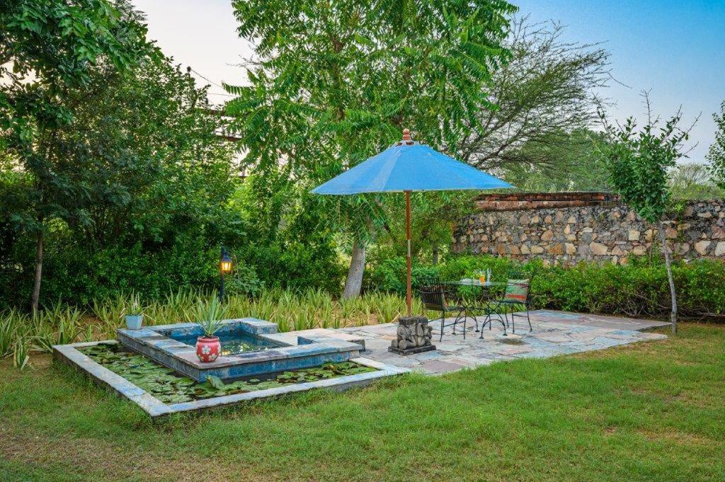 A Dog'S Story, Jaipur Bed & Breakfast Ngoại thất bức ảnh